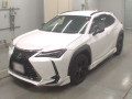 2021 Lexus UX
