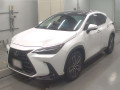 2022 Lexus NX