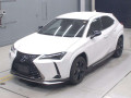 2021 Lexus UX