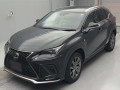 2019 Lexus NX