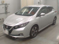 2019 Nissan Leaf
