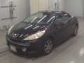2009 Peugeot 207