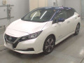 2021 Nissan Leaf