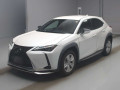 2021 Lexus UX