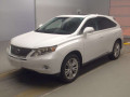 2009 Lexus RX