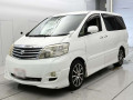 2007 Toyota Alphard G