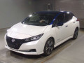 2021 Nissan Leaf