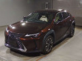 2021 Lexus UX