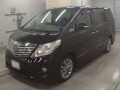 2010 Toyota Alphard