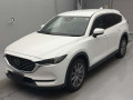 2019 Mazda CX-8