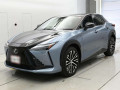 2023 Lexus RZ