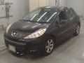 2010 Peugeot 207
