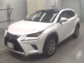 2021 Lexus NX