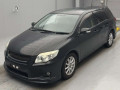 2007 Toyota Corolla Fielder