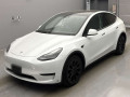 2023 Others MODEL Y