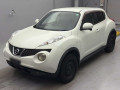 2011 Nissan JUKE