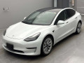 2021 Others MODEL 3