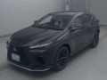 2024 Lexus NX