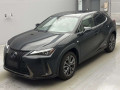 2021 Lexus UX