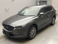 2019 Mazda CX-8