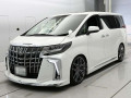 2020 Toyota Alphard