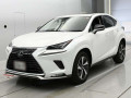 2021 Lexus NX