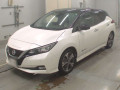 2019 Nissan Leaf