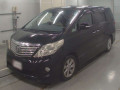 2009 Toyota Alphard