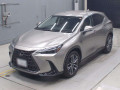 2022 Lexus NX