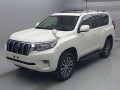 2019 Toyota Land Cruiser Prado