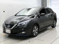 2019 Nissan Leaf