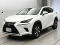 2018 Lexus NX