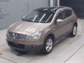 2007 Nissan Dualis