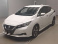 2021 Nissan Leaf