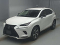 2019 Lexus NX