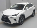 2021 Lexus NX