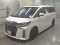 2020 Toyota Alphard