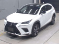 2019 Lexus NX