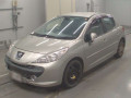 2008 Peugeot 207