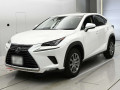 2019 Lexus NX