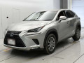 2019 Lexus NX