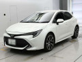2019 Toyota Corolla Sports