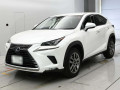 2018 Lexus NX