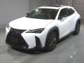 2021 Lexus UX