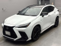 2024 Lexus NX