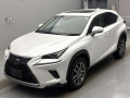 2020 Lexus NX