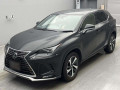 2021 Lexus NX