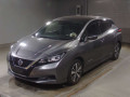 2019 Nissan Leaf