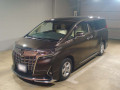 2022 Toyota Alphard