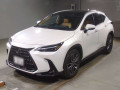 2025 Lexus NX